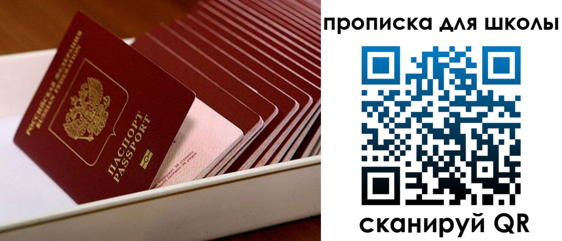 временная регистрация гарантия в Почепе